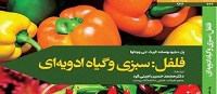 فلفل: سبزی و گیاه ادویه‌ای