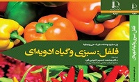 فلفل: سبزی و گیاه ادویه‌ای