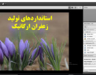 برگزاری کارگاه آموزشی توسط اعضای هیات علمی دانشگاه بیرجند در ششمین همایش ملی زعفران