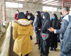 گزارش تصویری بازدید دانشجویان ورودی ۹۹ گروه آموزشی زراعت و اصلاح نباتات از دانشکده کشاورزی
