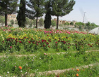 بازدید فرمانده مرکز آموزش مرزبانی محمد رسول الله (ص) بیرجند و همراهان از دانشکده کشاورزی