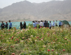 بازدید دانش آموزان