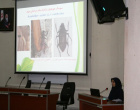 برگزاری کارگاه آموزشی آشنایی با آفات چوبخوار