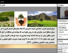 برگزاری کارگاه "کارگاه مدل تصمیم گیری واسپاس در منابع طبیعی و محیط زیست"