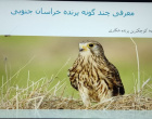 برگزاری جلسه سخنرانی هفته پژوهش با عنوان پرنده شناسی با تأکید بر معرفی چند گونه بومی استان خراسان جنوبی و پرورش پرندگان زینتی