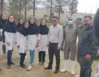 انجام عملیات واکسیناسیون و پشم چینی در واحد دامپروری پردیس توسط دانشجویان علوم دامی ورودی ۹۹