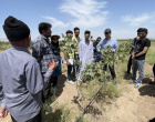 برگزاری کارگاه آموزشی و بازدید علمی دانشجویان گروه علوم و مهندسی آب  دانشگاه بیرجند