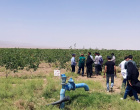 برگزاری کارگاه آموزشی و بازدید علمی دانشجویان گروه علوم و مهندسی آب  دانشگاه بیرجند