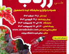 دومین پیش رویداد استارتاپ ویکند تخصصی زرناب