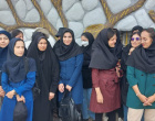 بازدید دانشجویان پردیس کشاورزی از باغات و مجتمع بارگاه های زرشک در منطقه گازار مهموئی آرین شهر