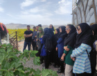 بازدید دانشجویان پردیس کشاورزی از باغات و مجتمع بارگاه های زرشک در منطقه گازار مهموئی آرین شهر