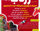 کارگاه آموزشی استارتاپ ویکند تخصصی زرناب