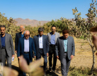 جلسه کمیته باغات دانشگاه برگزار شد