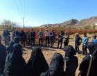 بازدید دانشجویان پردیس کشاورزی از باغات زرشک روستای پیرانج