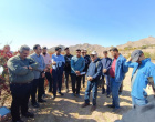 بازدید دانشجویان پردیس کشاورزی از باغات زرشک روستای پیرانج