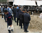 بازدید دانش آموزان دبیرستان پسرانه شهید شهاب از پردیس کشاورزی،منابع طبیعی و محیط زیست