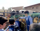 اردوی علمی تفریحی دانش آموزان مدرسه موسی بن جعفر (ع) بیرجند در پردیس کشاورزی، منابع طبیعی و محیط زیست برگزارشد.