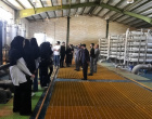 بازدید علمی دانشجویان گروه علوم و مهندسی