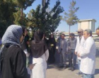 بازدید علمی دانشجویان رشته علوم دامی دانشگاه بیرجند از زنجیره صالح کاشمر