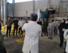 بازدید علمی دانشجویان رشته علوم دامی دانشگاه بیرجند از زنجیره صالح کاشمر