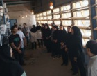 بازدید علمی دانشجویان رشته علوم دامی دانشگاه بیرجند از زنجیره صالح کاشمر
