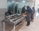 برگزاری مراسم روز جهانی خاک درپردیس کشاورزی، منابع طبیعی و محیط زیست