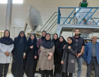بازدید علمی دانشجویان گروه مهندسی تولید و ژنتیک گیاهی ورودی ۱۴۰۳ از کارخانه آرد گلبرگ بیرجند و کارخانه بسته بندی حبوبات