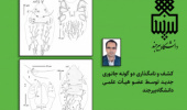کشف و نامگذاری دو گونه جانوری جدید توسط عضو هیأت علمی دانشکده کشاورزی، منابع طبیعی و محیط زیست