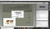 برگزاری کارگاه پرورش قارچ خوراکی تکمه ای