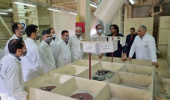 بازدید اعضای هیأت علمی گروه علوم دامی از مجتمع کارخانه خوراک دام ستاره کیان بیرجند