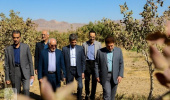 جلسه کمیته باغات دانشگاه برگزار شد