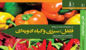 کتاب عضو هیأت علمی دانشگاه بیرجند در دانشگاه فردوسی مشهد چاپ شد