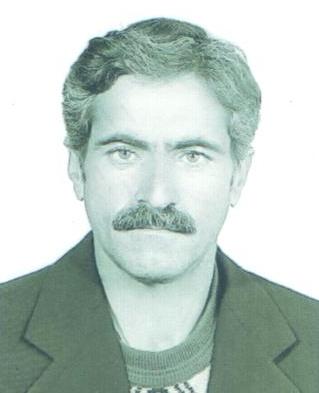 ساربانی سرچاه، حسن 