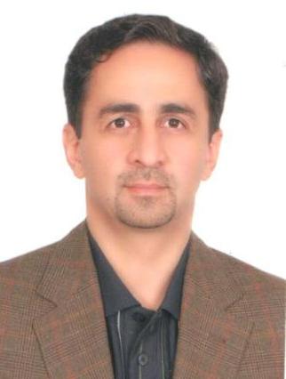 هادی سریر