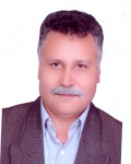 دکتر سید محمد حسینی
