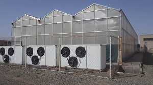 گلخانه تحقیقاتی