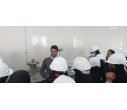 اردوی راهیان پیشرفت جهت بازدید از کارخانه منیزیم و مواد نسوز شهرستان سربیشه برگزار شد