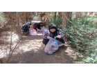 پاکسازی محیط خوابگاه ها به مناسبت هفته سراهای دانشجویی