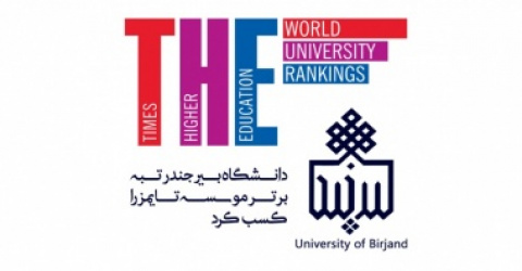درخشش دانشگاه بیرجند در میان برترین دانشگاه های جهان در حوزه مهندسی و فناوری