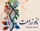 انتشار سه عنوان کتاب توسط انتشارات دانشگاه بیرجند