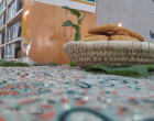 سه شنبه های مهدوی، فرصتی برای خدمت عاشقانه منتظران