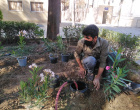 نمایی از محوطه موزه و مرکز اسناد و مفاخر دانشگاه بیرجند (در حال بازسازی)