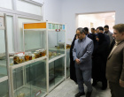بازدید «استاندار خراسان جنوبی» از موزه و مرکز اسناد و مفاخر دانشگاه بیرجند