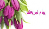 تبریک به اساتید برتر پردیس علوم رفتاری در آئین بزرگداشت مقام استاد و تجلیل از برگزیدگان