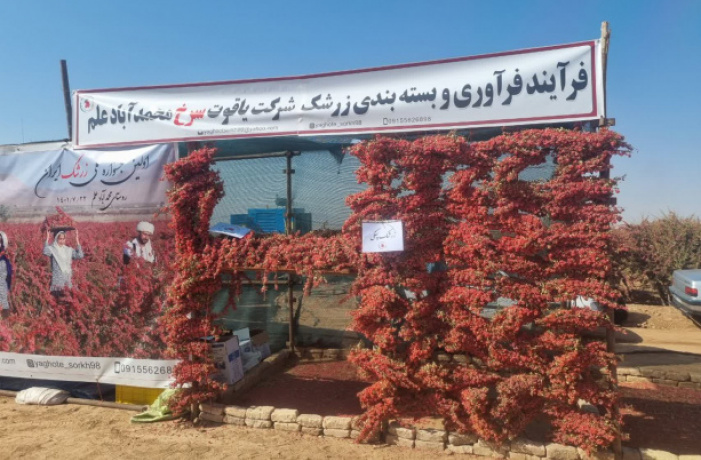 عکس
