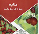انتشار پنج عنوان کتاب توسط انتشارات دانشگاه بیرجند