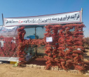 بازدید دکتر اکبرپور معاون محترم پژوهش، فناوری و نوآوری و جمعی از اعضای هیأت علمی دانشگاه بیرجند از نمایشگاه فرآوری و بسته بندی زرشک در محمدآباد علم