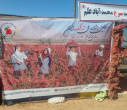 بازدید دکتر اکبرپور معاون محترم پژوهش، فناوری و نوآوری و جمعی از اعضای هیأت علمی دانشگاه بیرجند از نمایشگاه فرآوری و بسته بندی زرشک در محمدآباد علم