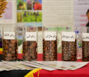 استاندار خراسان جنوبی از نمایشگاه دستاوردهای پژوهشی استان بازدید کرد