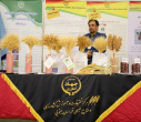 استاندار خراسان جنوبی از نمایشگاه دستاوردهای پژوهشی استان بازدید کرد